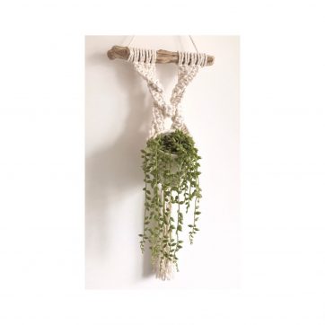 Plant Hangers